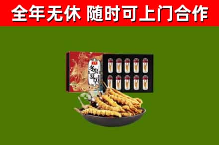 舟山烟酒回收冬虫夏草礼盒.jpg